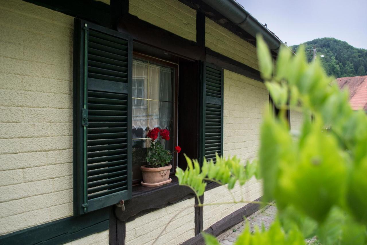Holiday home Hiska Ob Potoku