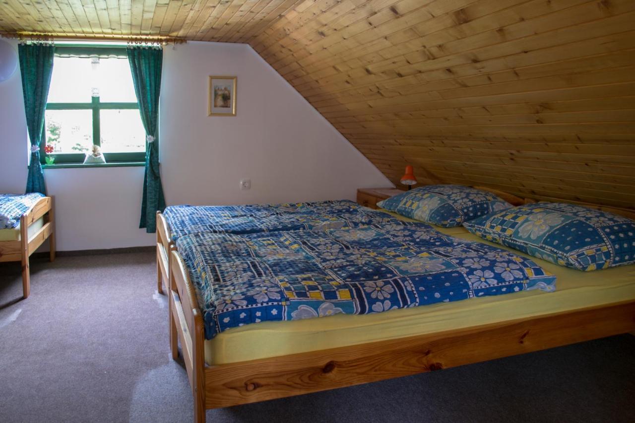 Hiska Ob Potoku Holiday home *